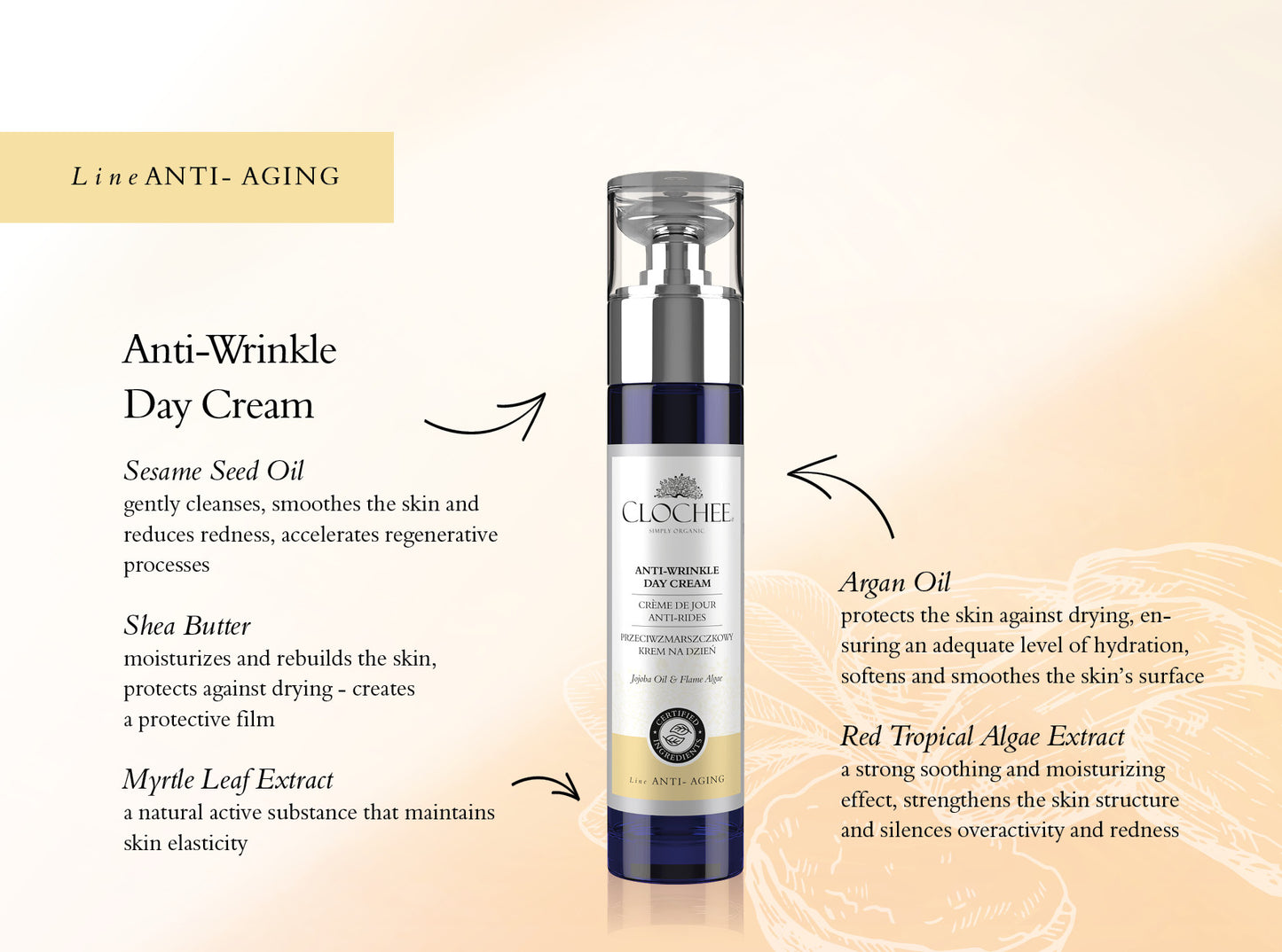 Anti Wrinkle Day Cream