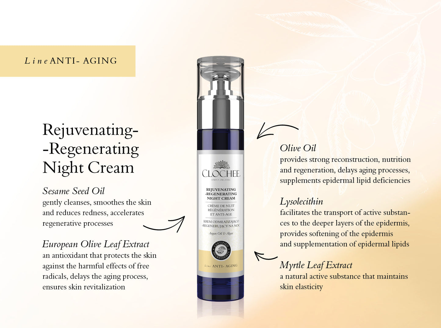 Rejuvenating Regenerating Night Cream