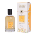 Amber Eau de Toilette