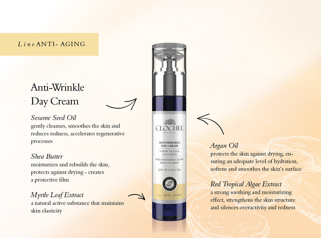 Anti Wrinkle Day Cream