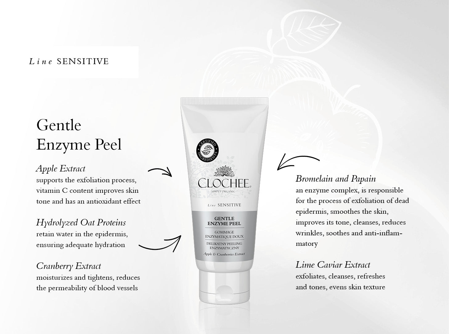 Gentle Enzyme Peel