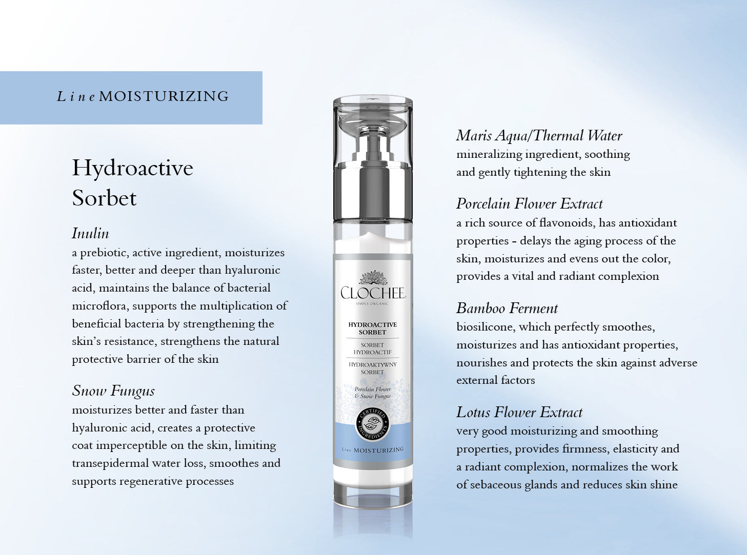Hydroactive Sorbet