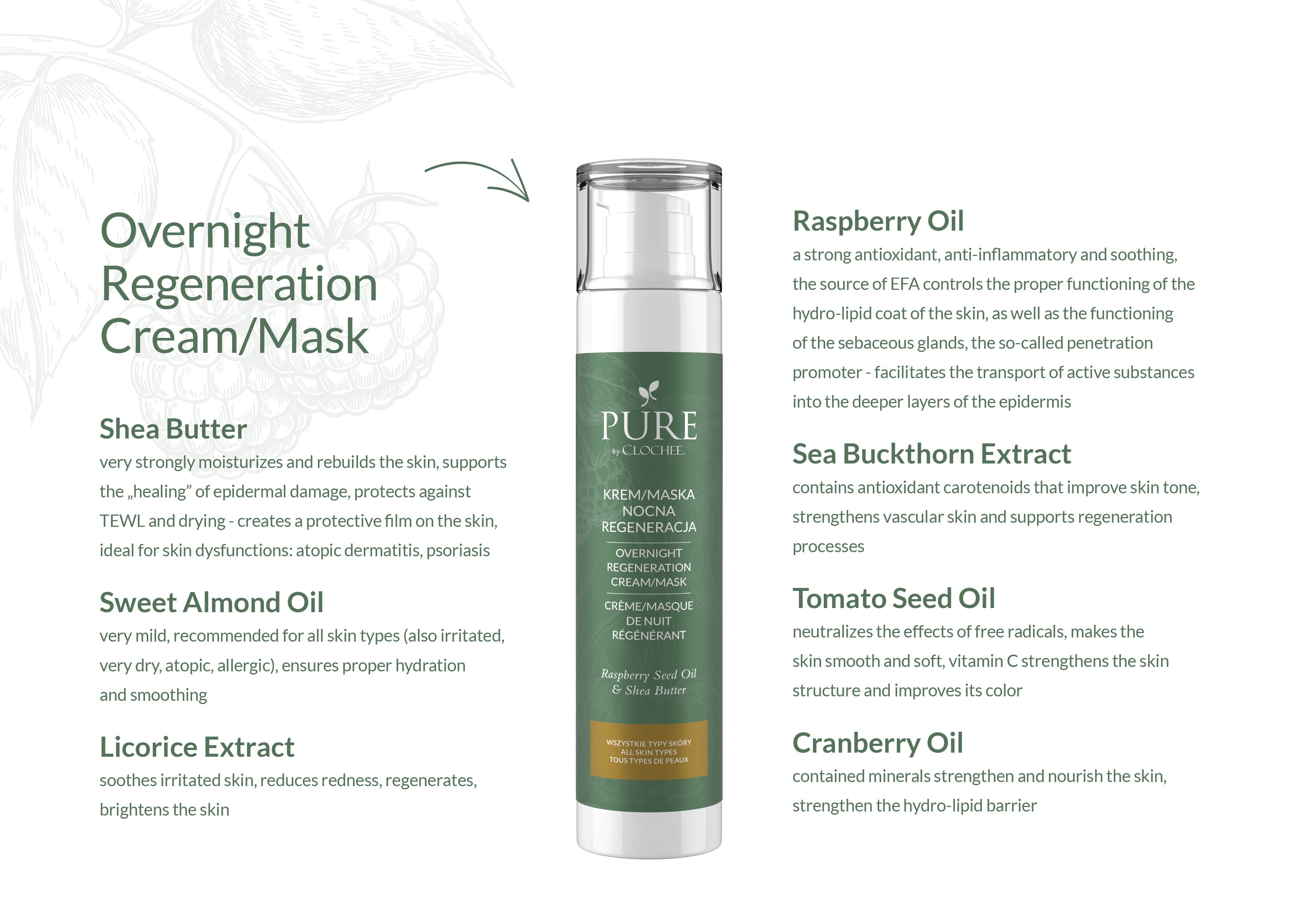 Overnight Regeneration Cream/Mask