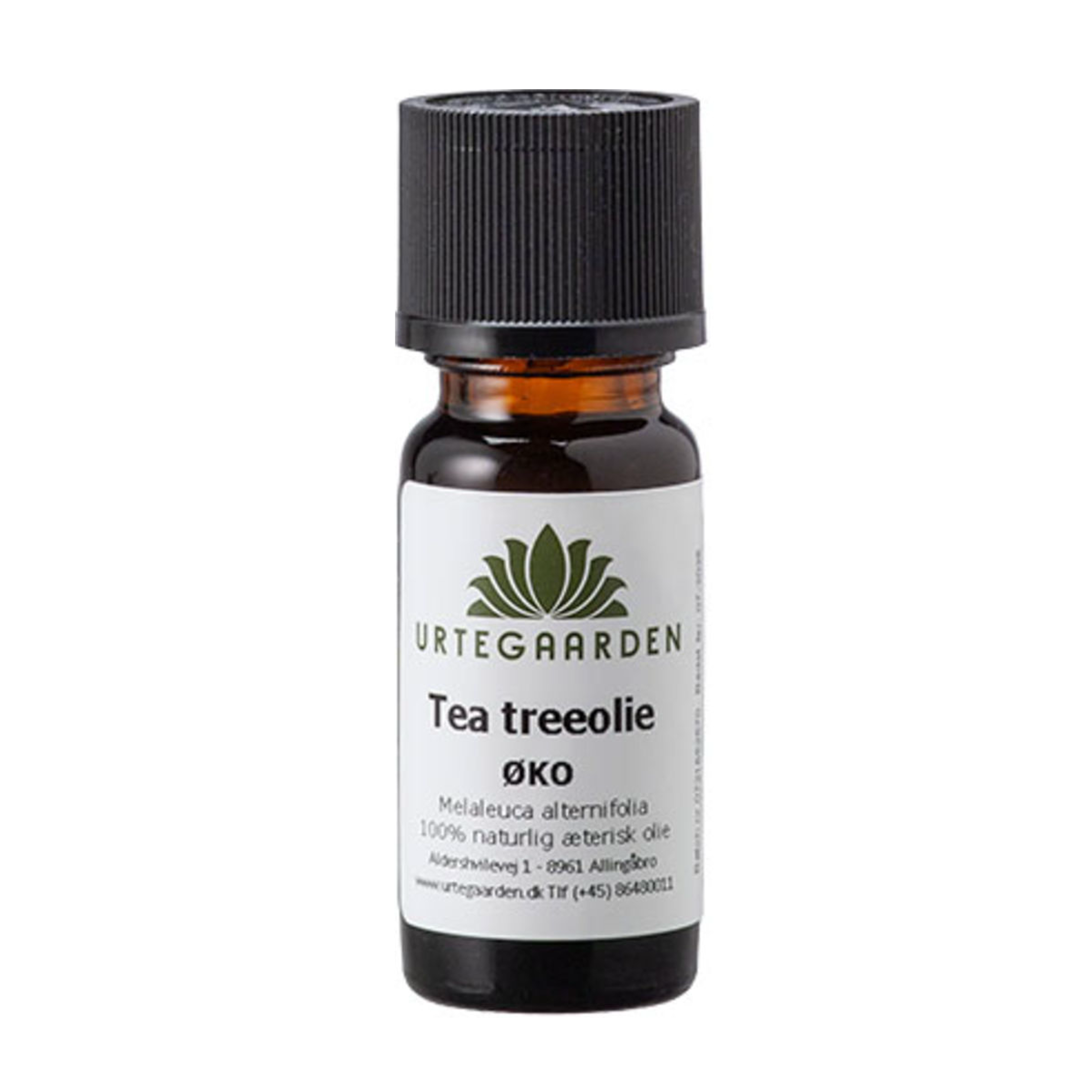 Tea Treeolie ØKO Æterisk Olie
